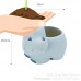 ENJOY Cute Hippo Succulent Pots With Drainage Resin Mini Flower Pot Garden Plants Vase Desk Flower Decoration   
